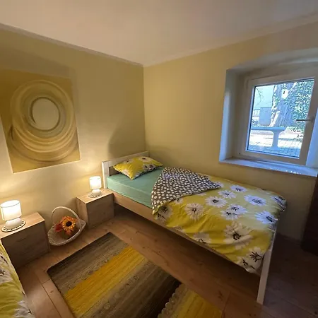 Traditional Istrian Stone House - Angie Holiday home Sisan